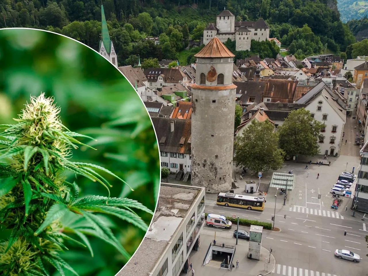 Rätselhafte 'Kifferhütten' auf Google Maps sorgen für Verwirrung in Feldkirch