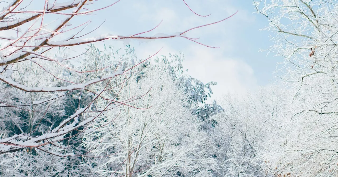 Keeping a close eye on another ice storm this week