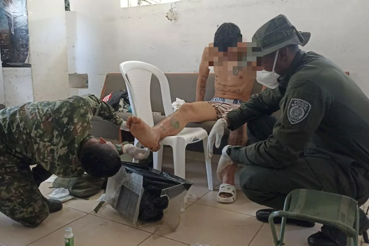 Cuatro integrantes del ELN se entregan en el Cauca