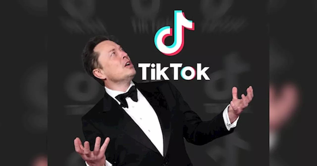 मैं कचरे को सोना बनाता हूं... TikTok खरीदने के सवाल पर Elon Musk ने दिया ऐसा जवाब, मची खलबली