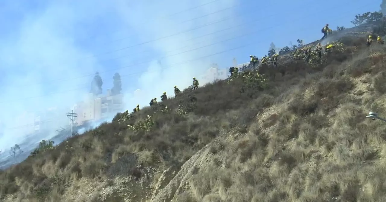 Mission Valley residents concerned about homeless encampments in 'fire prone' areas