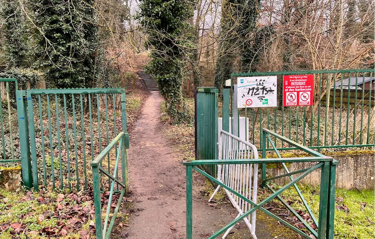 Mort de Louise à Epinay-sur-Orge : La ville plongée dans la peur