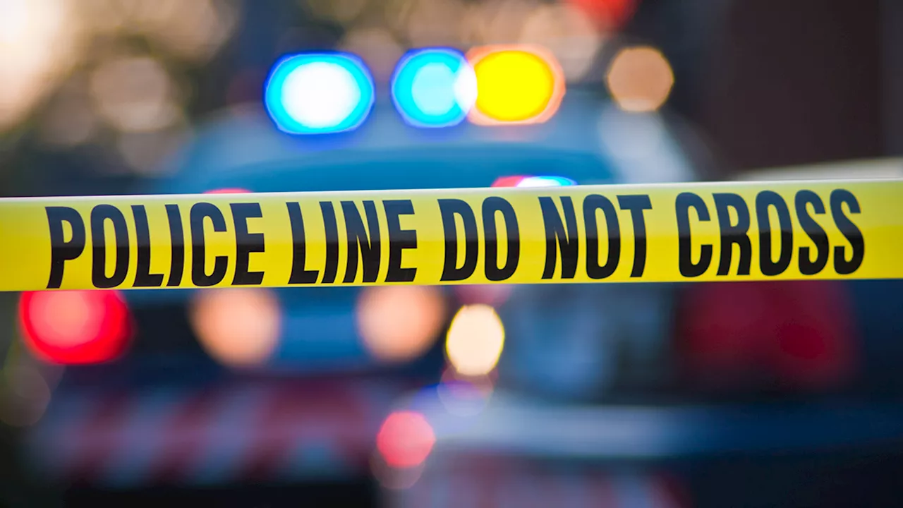 Felon Charged With Throwing Object at Vehicle During Immigration Protest