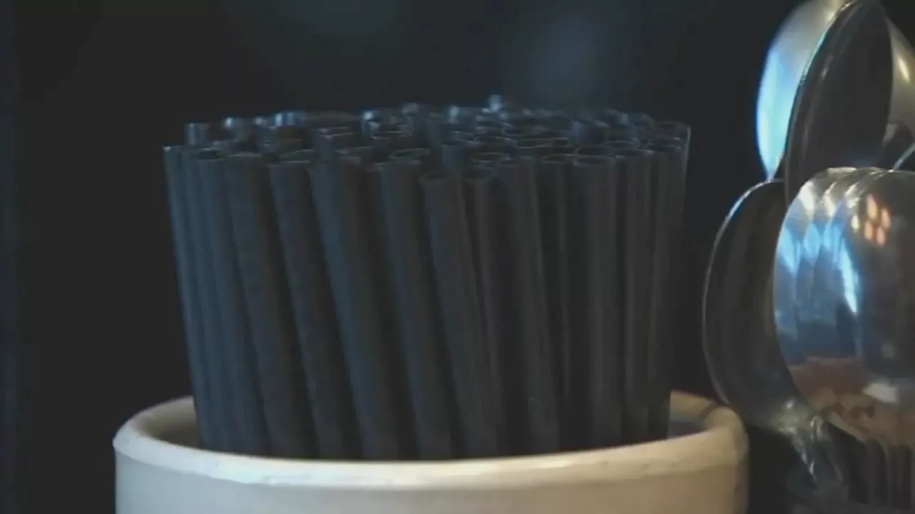 Trump Bans Federal Use of Paper Straws, Favors Plastic