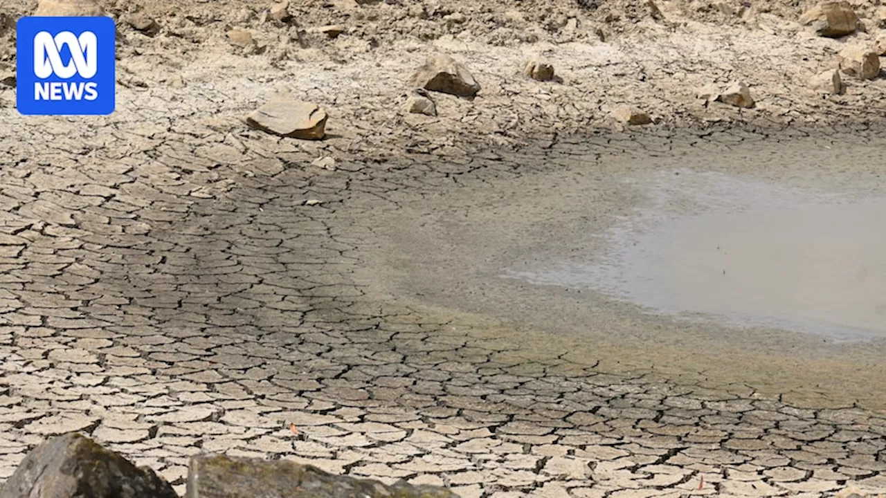 Water tanks, dams dry up across Adelaide Hills and Fleurieu Peninsula