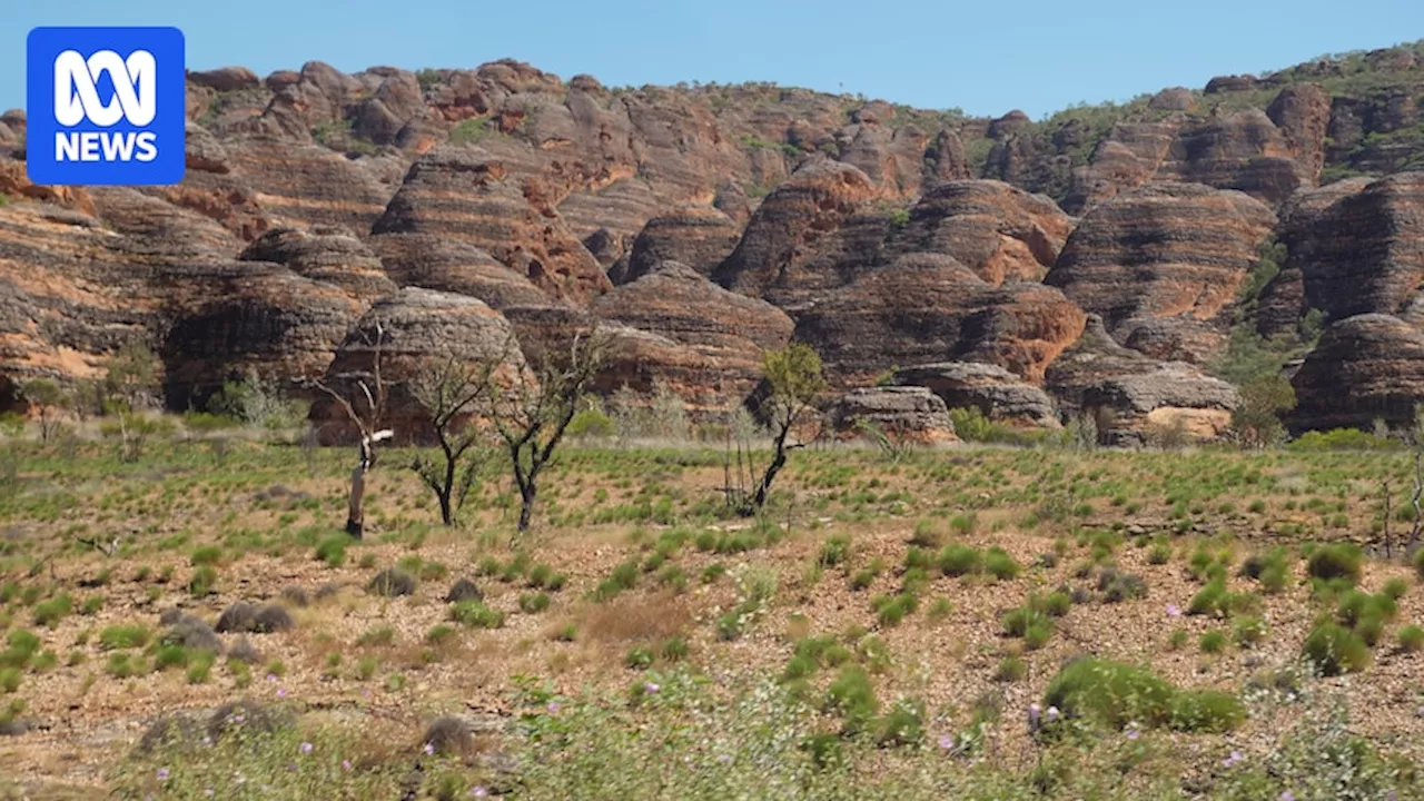 WorkSafe clears employer over WA government contractor's death in Purnululu National Park