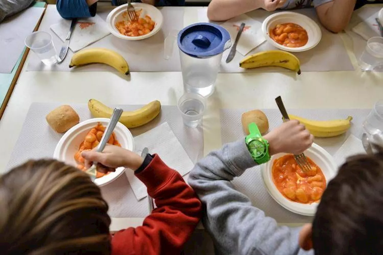 Pane e Olio in Scuola: Critiche per la Mensa Sostitutiva a Montevarchi