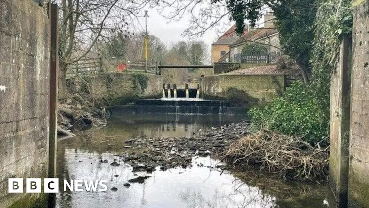 New Fish Pass to Restore River Flow and Native Species