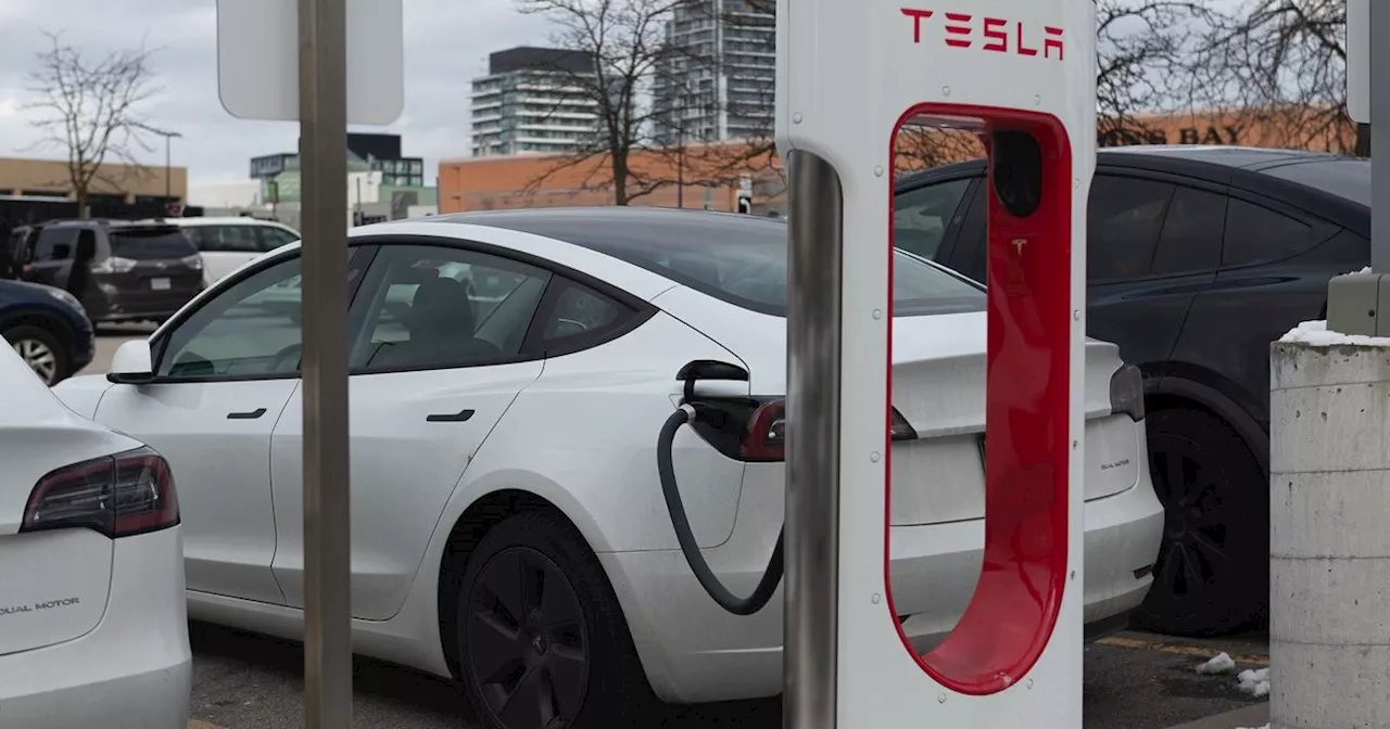 Toronto Mayor Vows to Cut Tesla from Electric Vehicle Grant Program