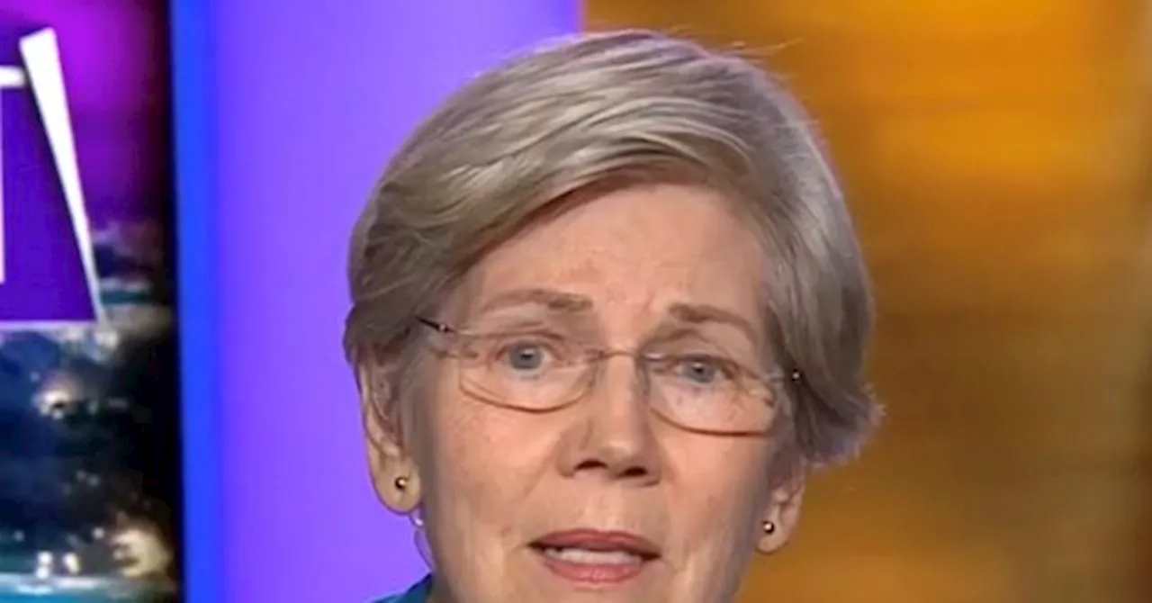 Sen. Warren Says Only Congress Can Shut Down Agencies