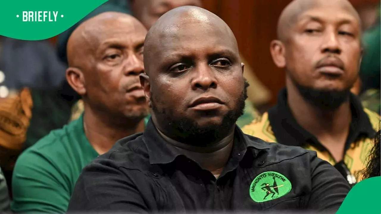 Calls for Floyd Shivambu's Resignation Grow Amidst Leadership Concerns