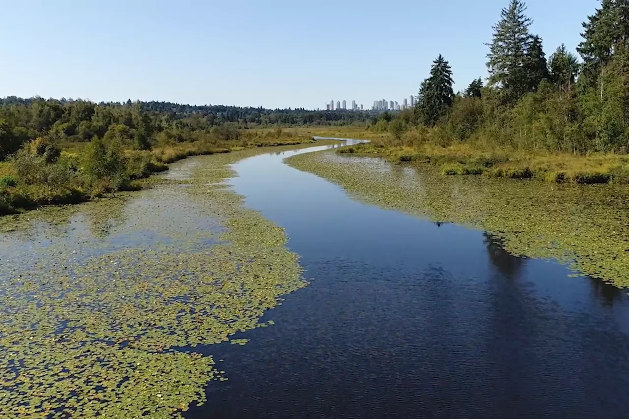 Metro Vancouver Secures 25-Year Lease for Burnaby Lake Regional Park