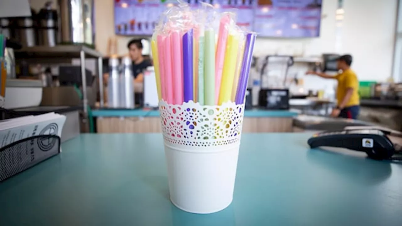 Trump Reverses Biden Policy, Orders Government to Use Plastic Straws