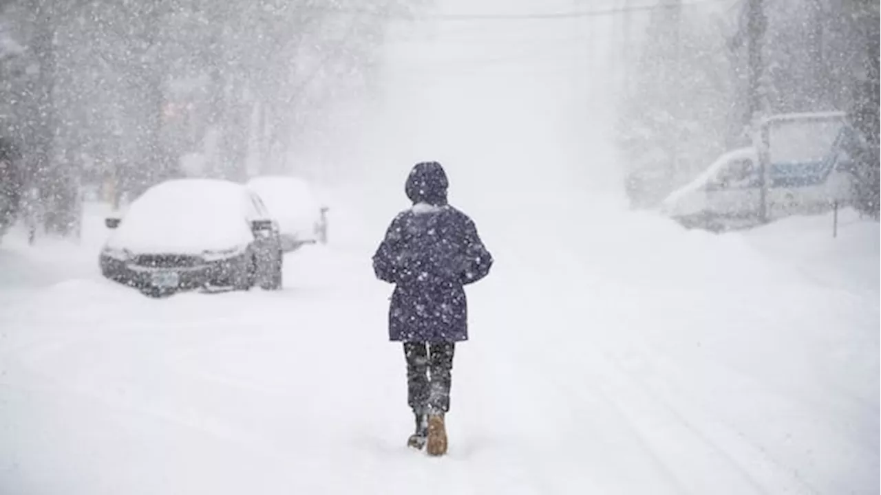 Major Winter Storm to Hit Ottawa, Gatineau with Up to 40cm of Snow