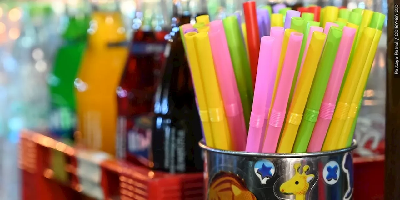 Trump Reverses Policy, Favors Plastic Straws Over Paper