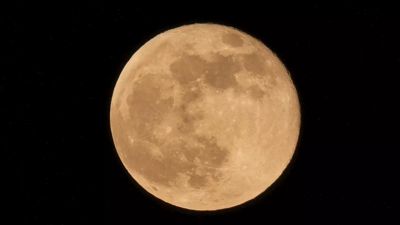 Pleine Lune en Lion : Libérez votre créativité et ravivez la flamme