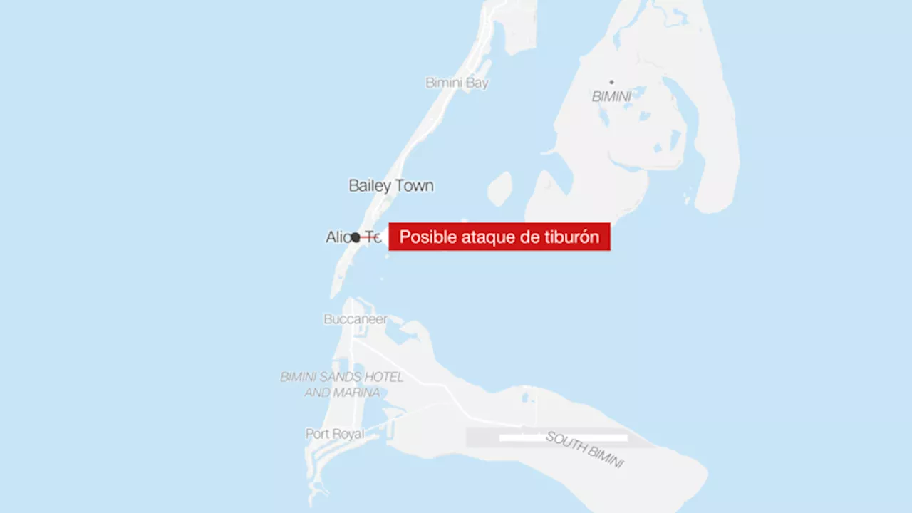 Dos Mujeres Americanas Resultan Heridas en Presunto Ataque de Tiburón en las Bahamas