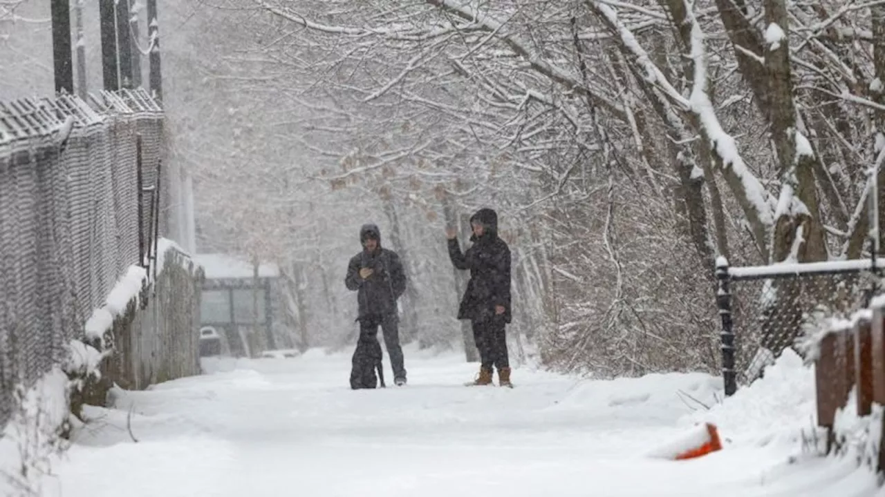 Tres tormentas invernales consecutivas azotan Estados Unidos