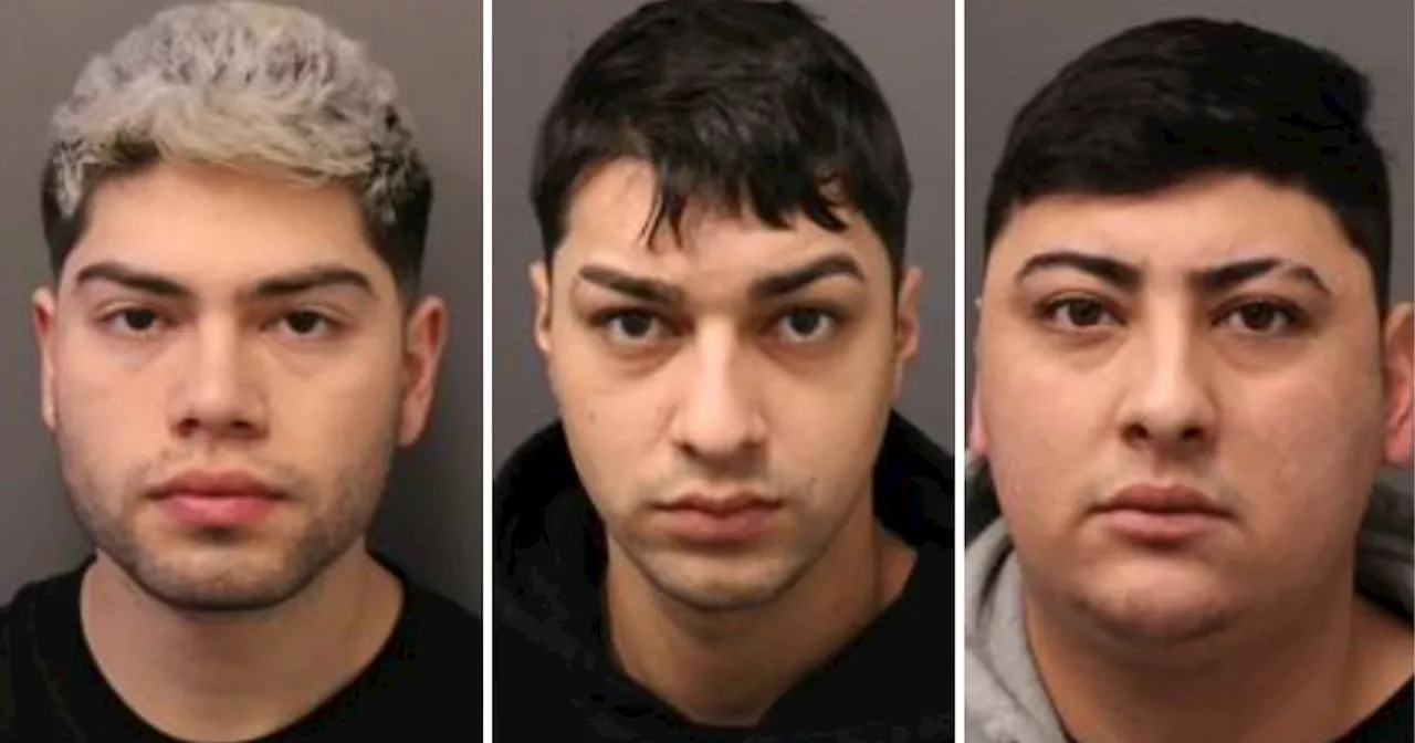 Three Chilean Men Arrested After Failed Carjacking in York Region