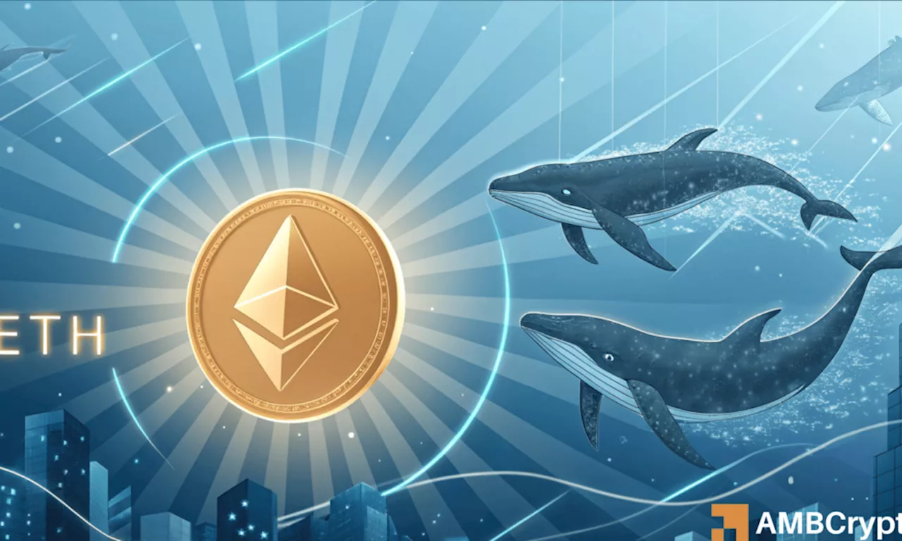 Ethereum Whales Accumulate, Institutional Interest Soars, Signaling Bullish Outlook