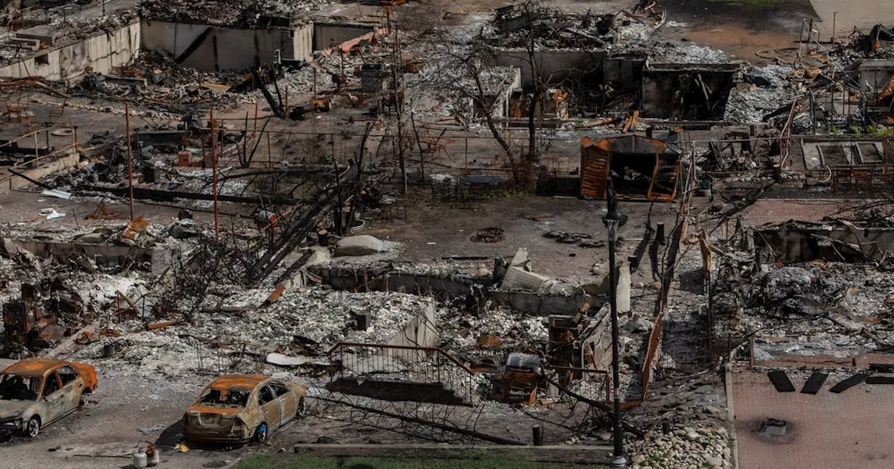 Worker Walks Through Devastated Alberta Wildfire Zone