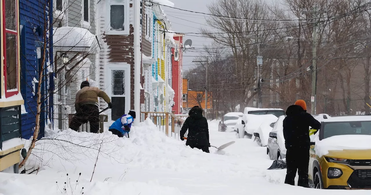 St. John's Residents Dig Out From Heavy Snowfall