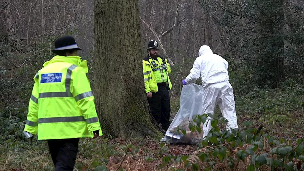 Manhunt launched after woman raped in broad daylight at nature reserve