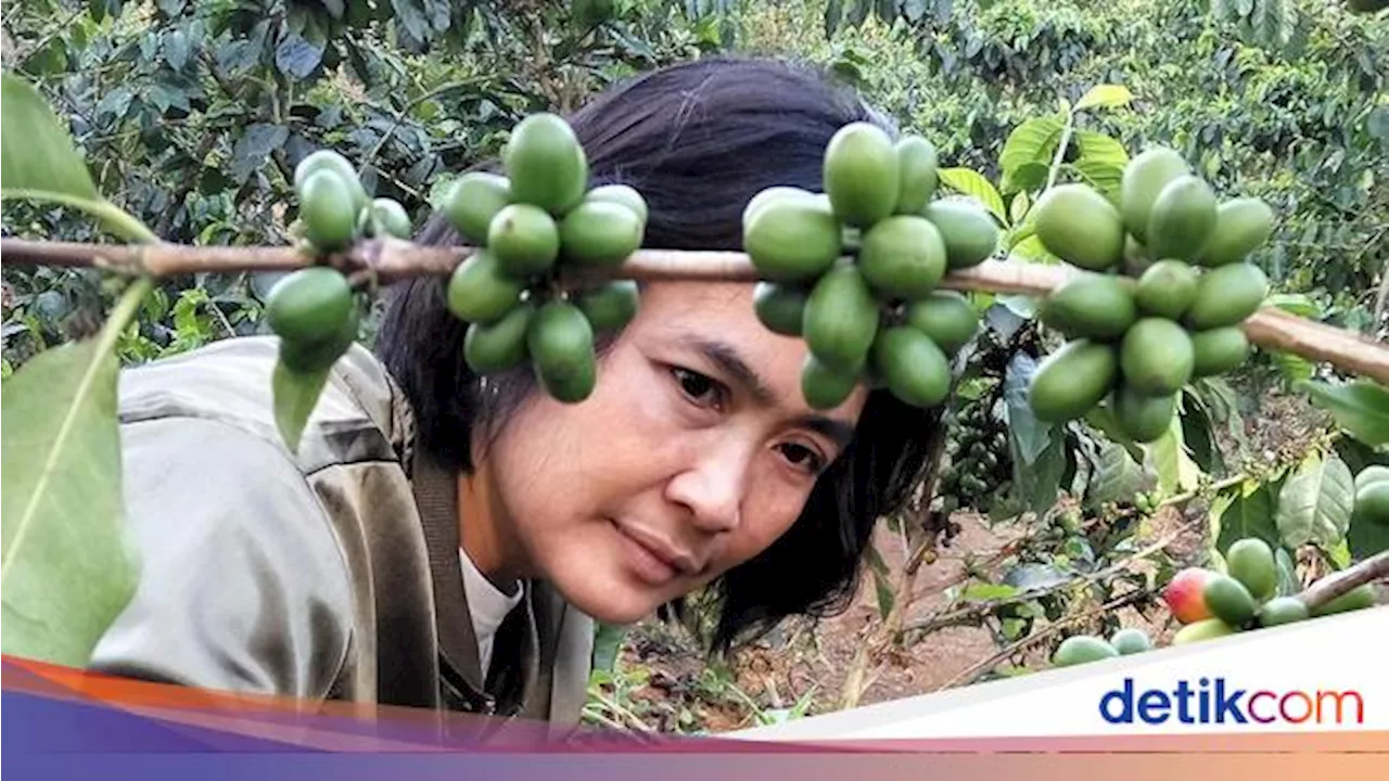 BNI Dukung UMKM Kopi Garut Swasembada Pangan & Tembus Pasar Global