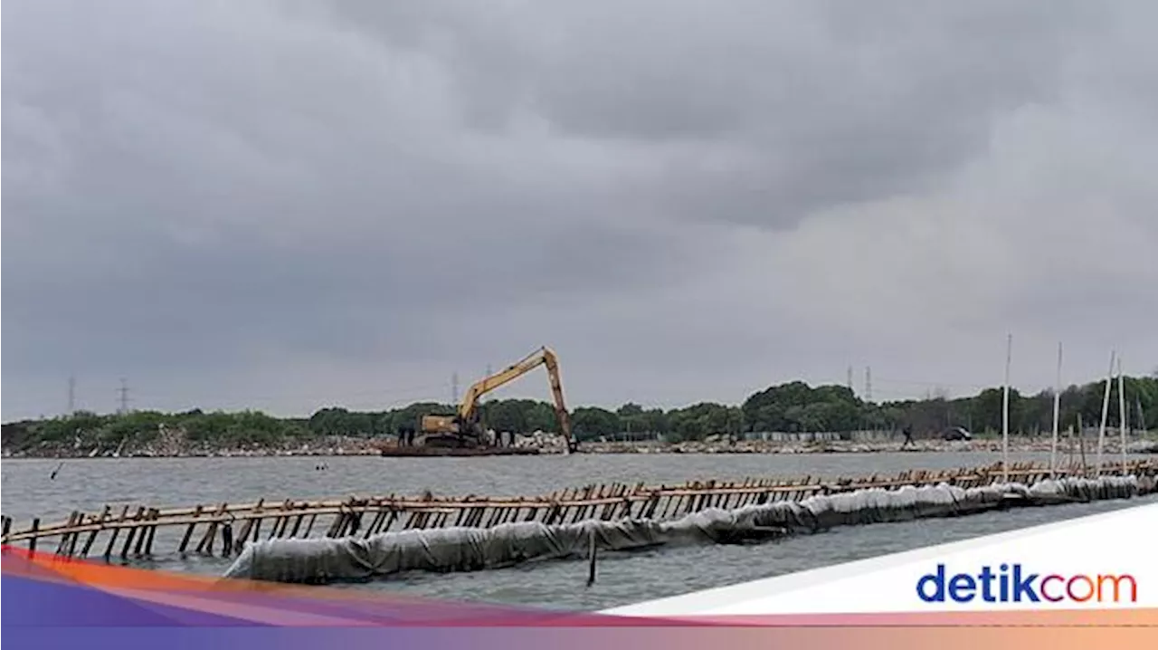 Pagar Laut di Bekasi buat Reklamasi, Bakal Jadi Proyek Apa?