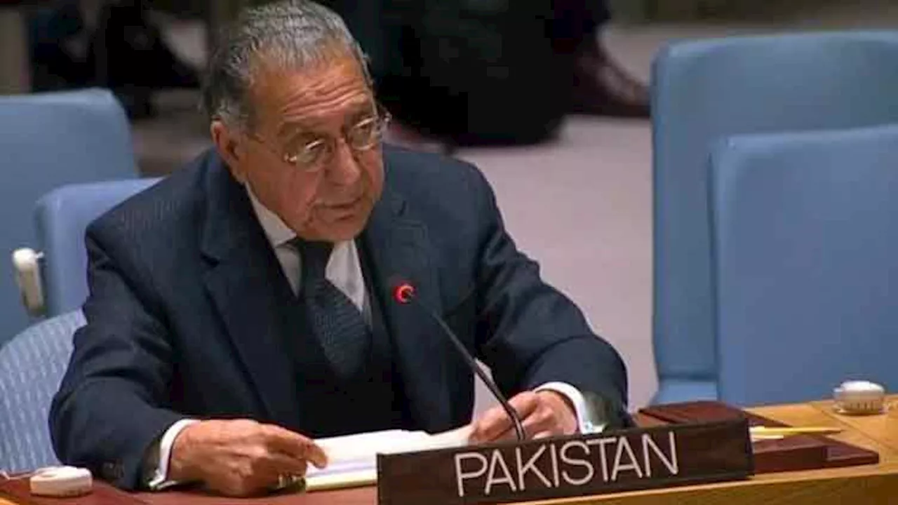 Pakistan urges UNSC to take action against terror groups operating from Afghanistan