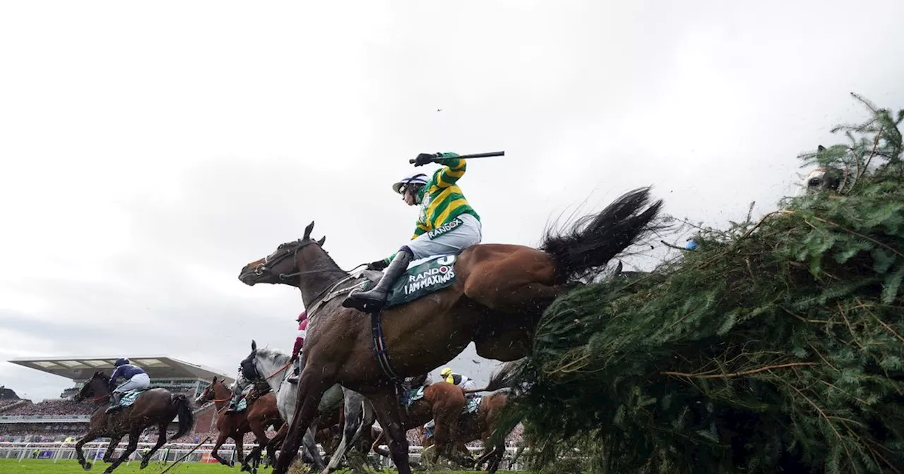 I Am Maximus will find it 'tough' to land back-to-back Grand National victories