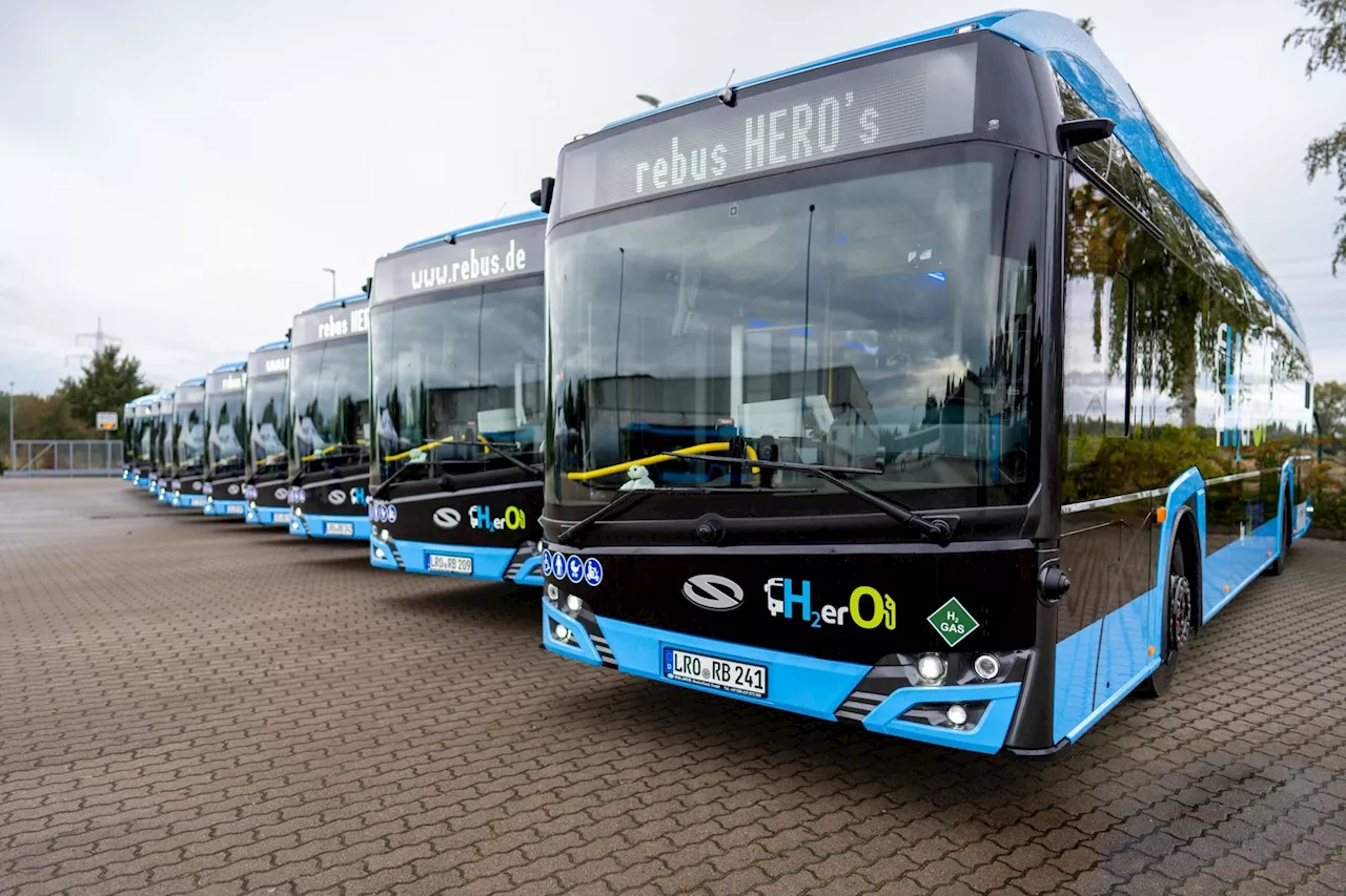 Rebus Rostock setzt auf Wasserstoffbusse: 52 klimafreundliche Fahrzeuge im Einsatz