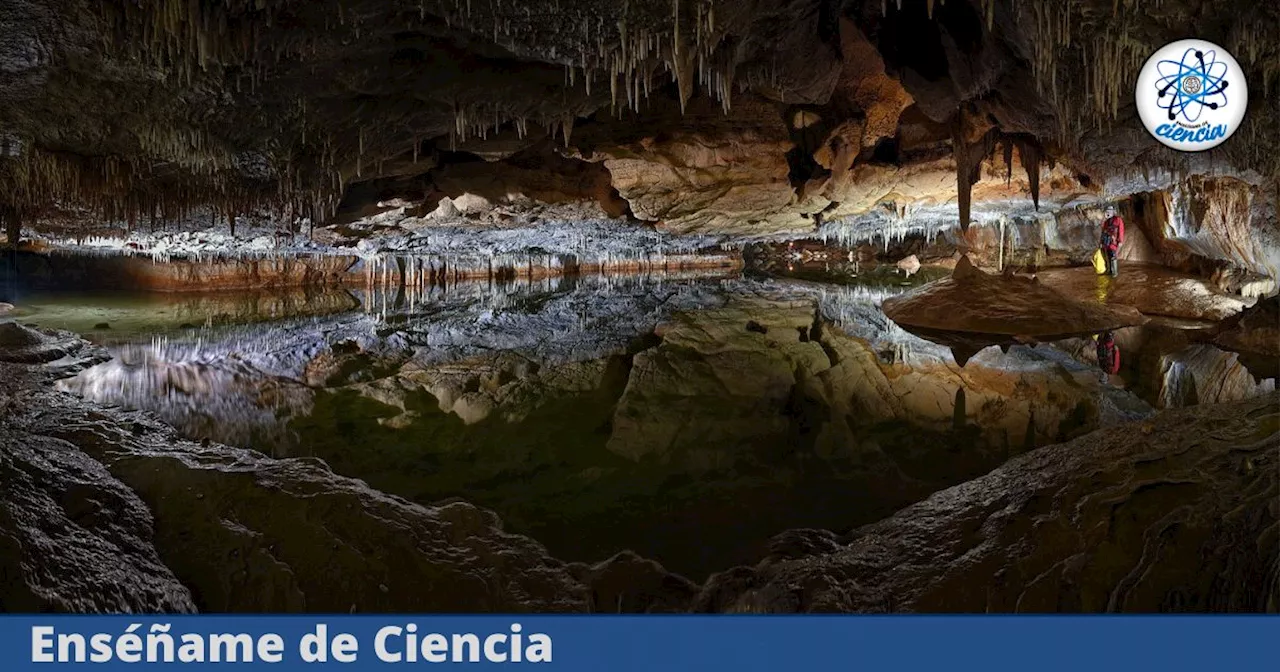 Científicos hallan inesperadas señales de vida en las ‘entrañas’ de la Tierra