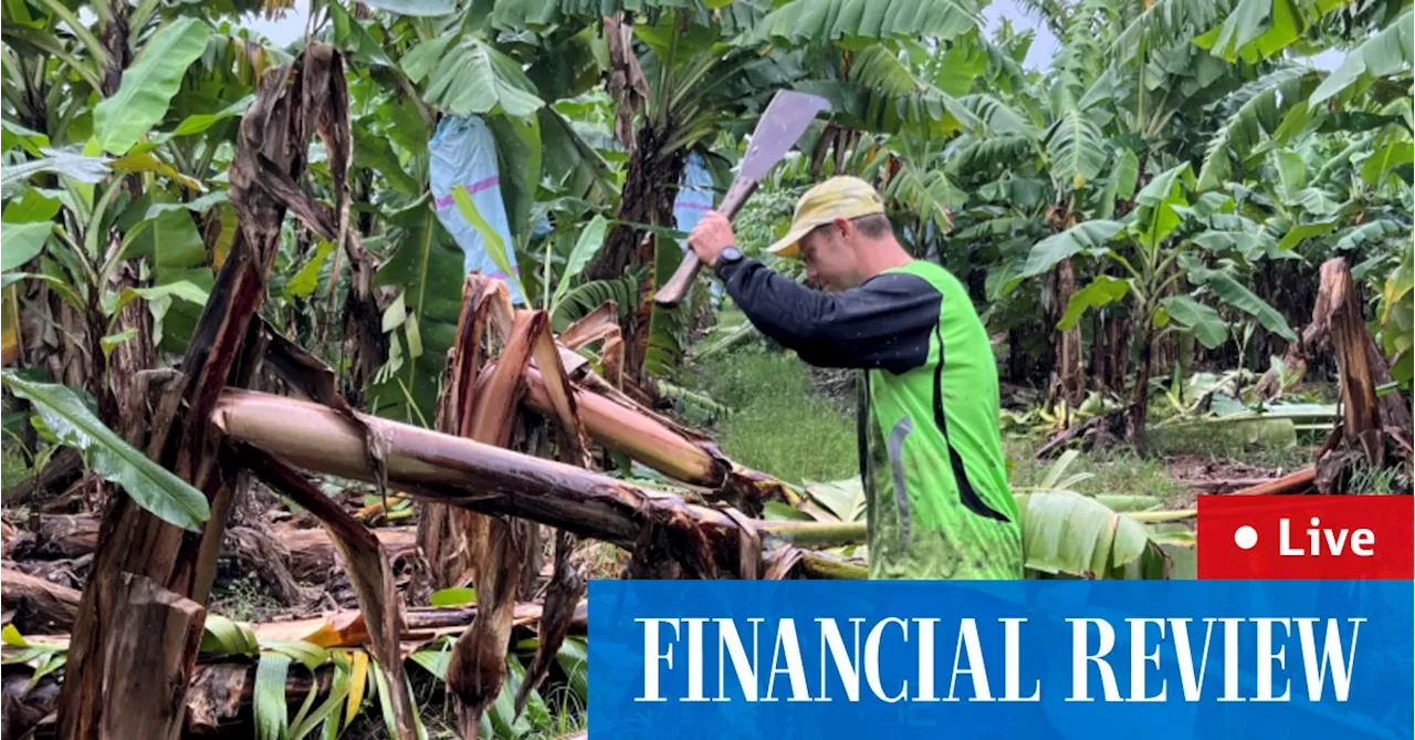 North Queensland floods: Banana and sugar prises to rise after North Queensland floods