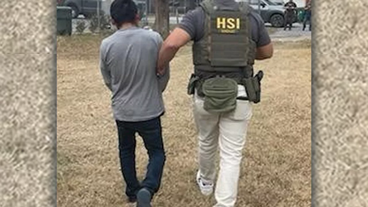 Mexican Cartel Member Arrested in US for Illegal Entry