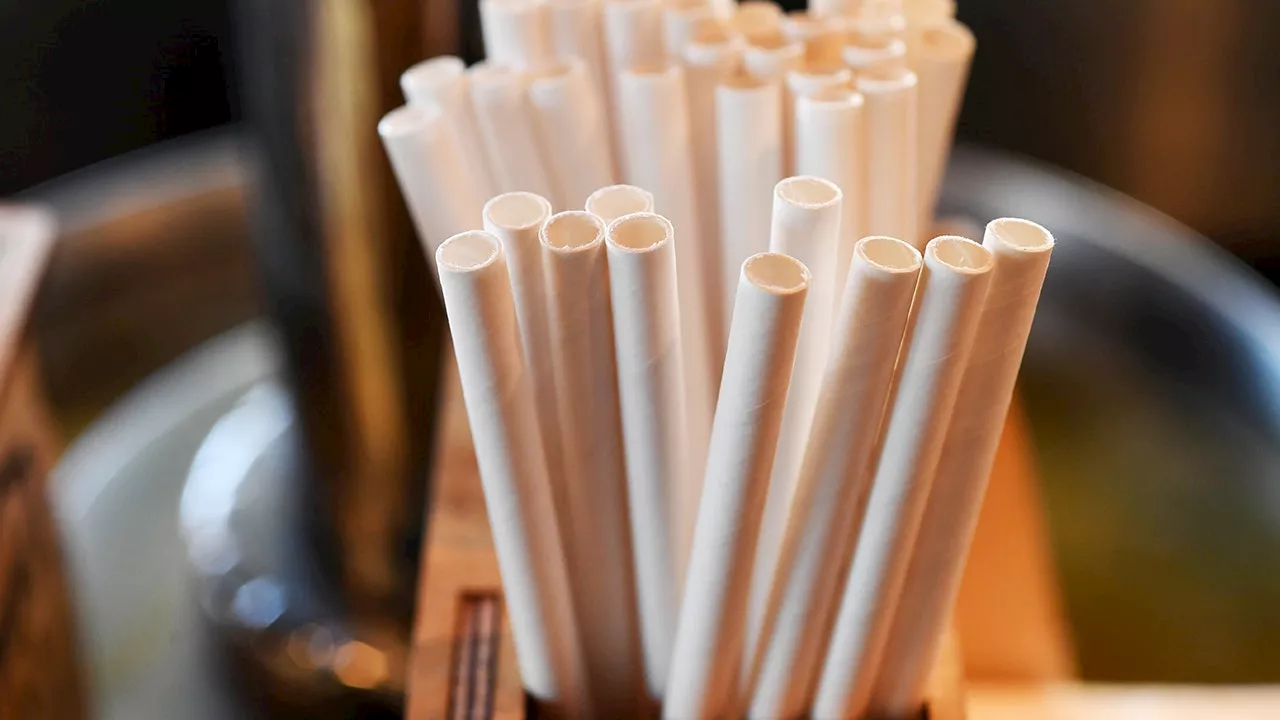 Trump Signs Executive Order to Reverse Federal Ban on Plastic Straws