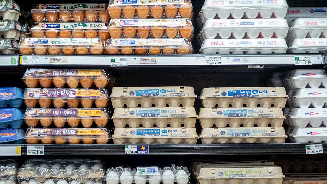 Egg Shortages: Retailers Impose Purchase Limits Amid Bird Flu Outbreak