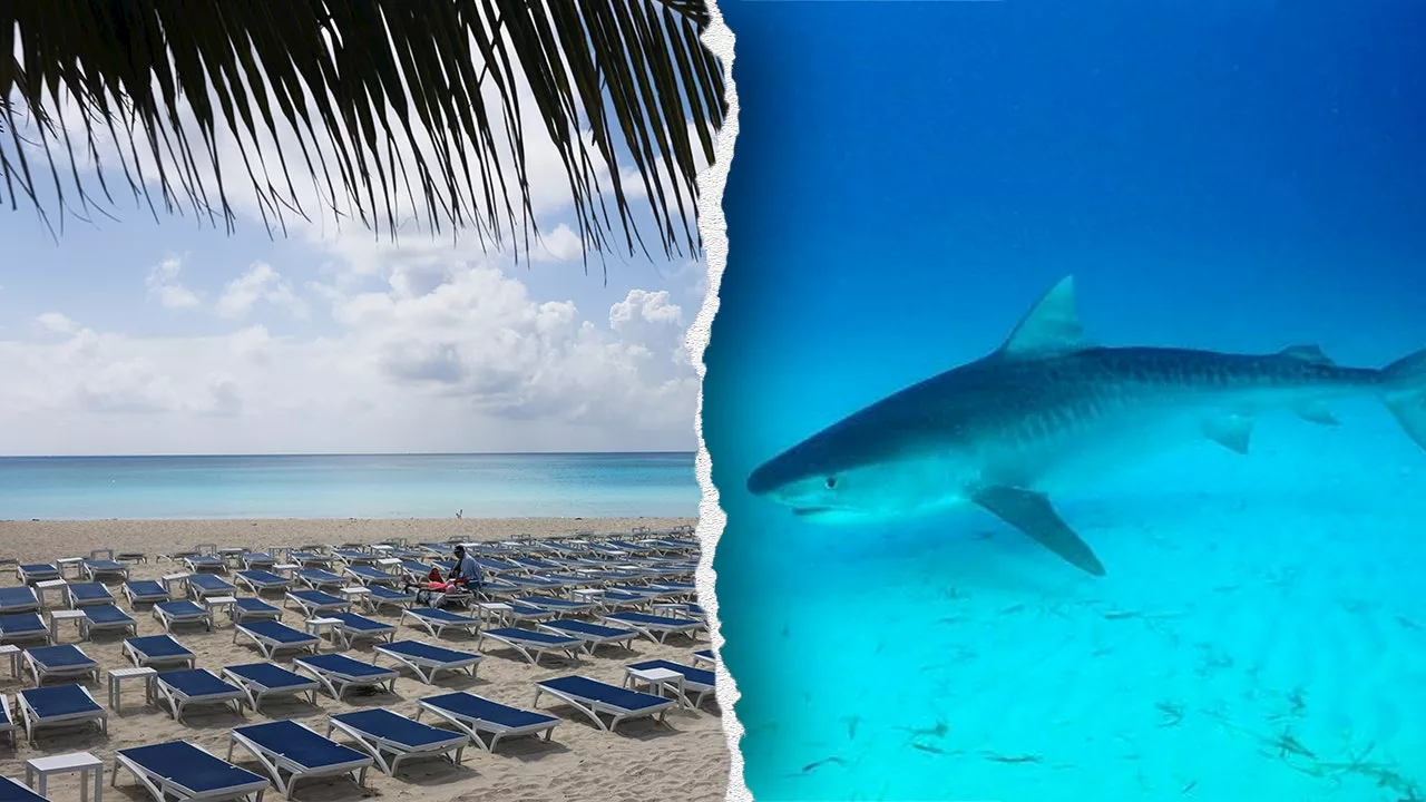 Two American Tourists Attacked by Shark in the Bahamas