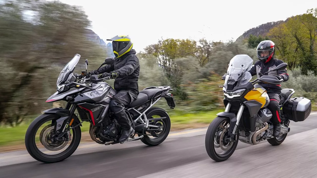 Triumph Tiger 900 Gt Pro vs Moto Guzzi Stelvio: 19'' anteriore ma filosofia diversa