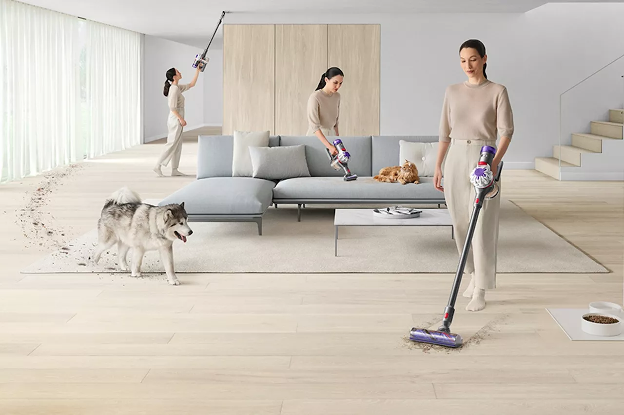 Dyson V8 Cordless Vacuum Cleaner on Sale for Presidents' Day