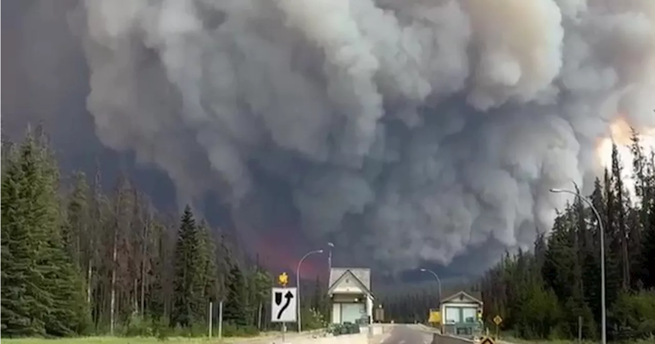 Hinton, other Alberta communities pushed to ramp up wildfire mitigation