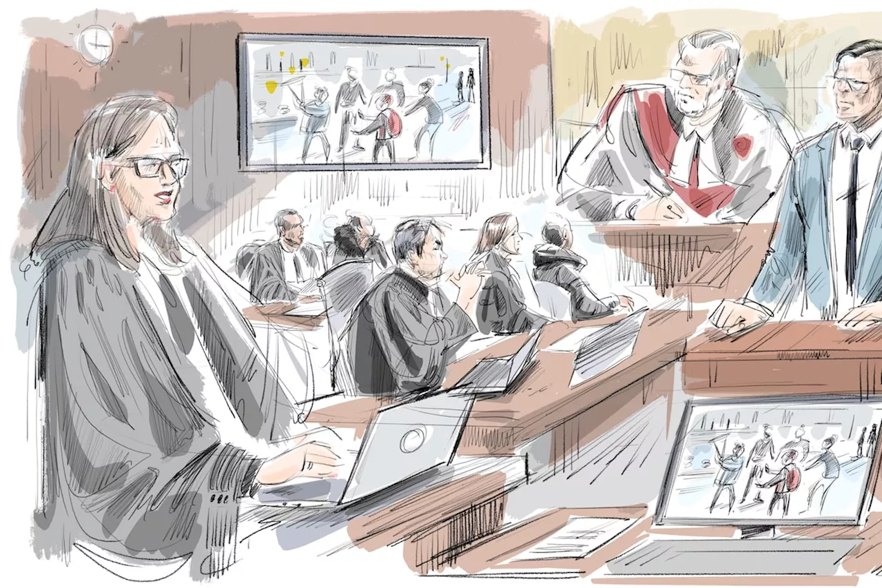 Defence Lawyers Argue Object Dropped by Teen Accused in Stabbing Was a Marker, Not a Knife