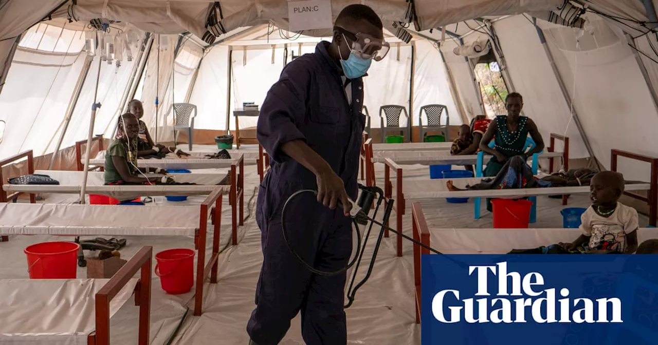 Cholera Comeback: Conflict and Climate Fuel Disease Surge