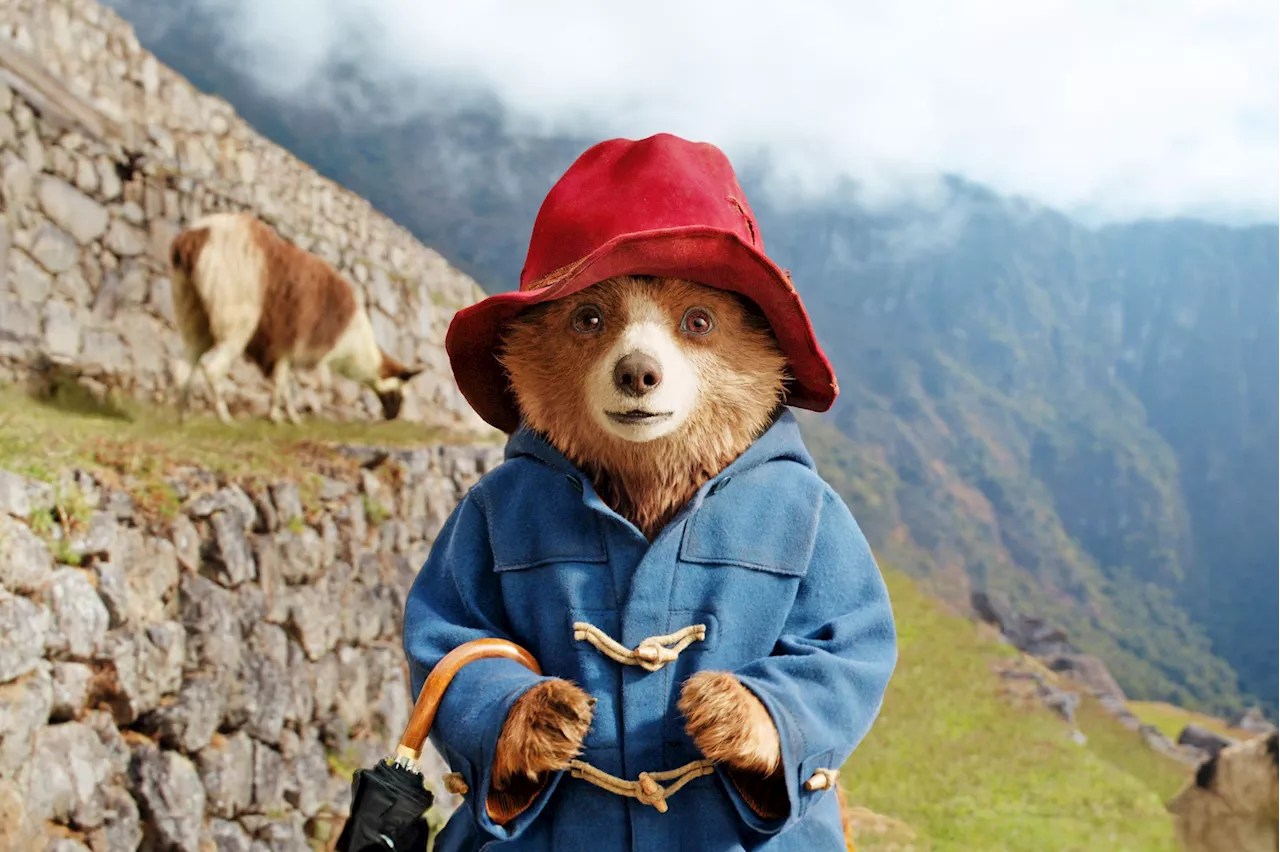  Paddington 3: Una Aventura Amazónica