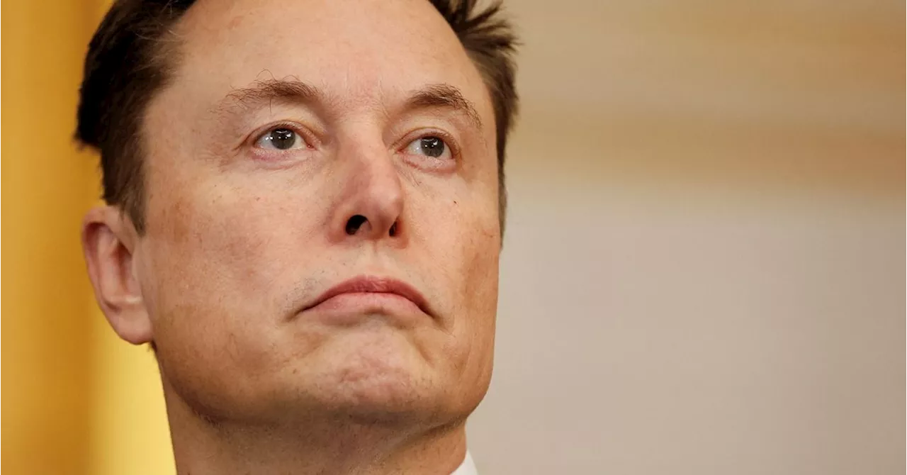 How Elon Musk's Crusade Against Government Could Benefit Tesla