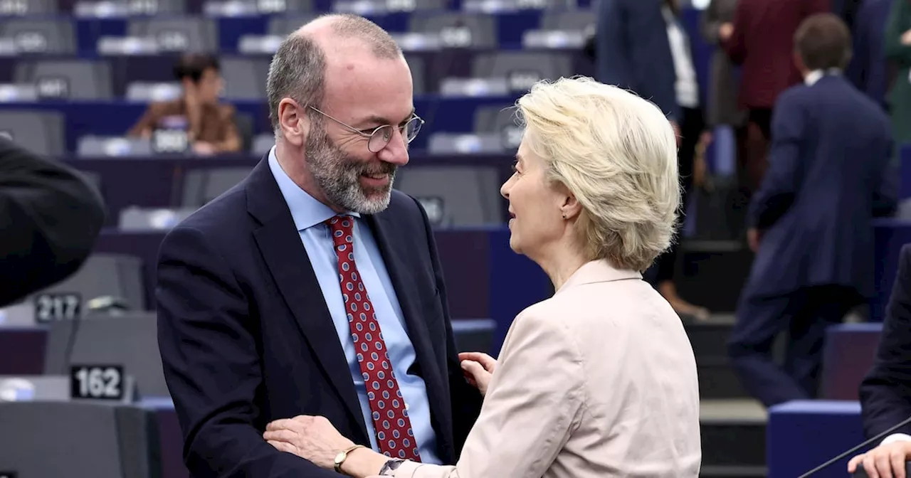 Irish environment groups condemn EU cash row as defunding attempt by right-wing MEPs