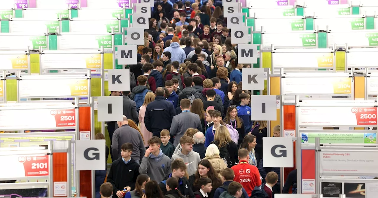 Q&A: What next for the YSTE, Ireland’s annual showcase of young scientific talent?