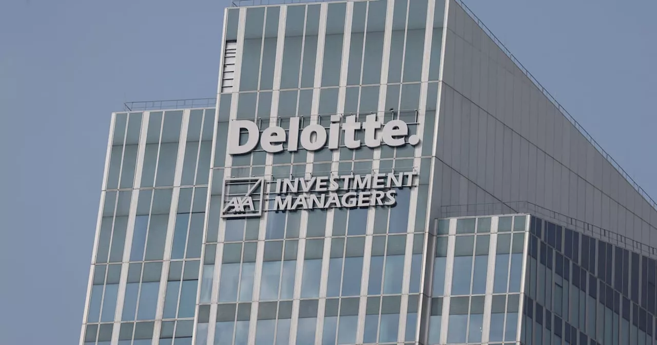 Deloitte US drops diversity goals and asks employees to remove pronouns from emails for government contracts