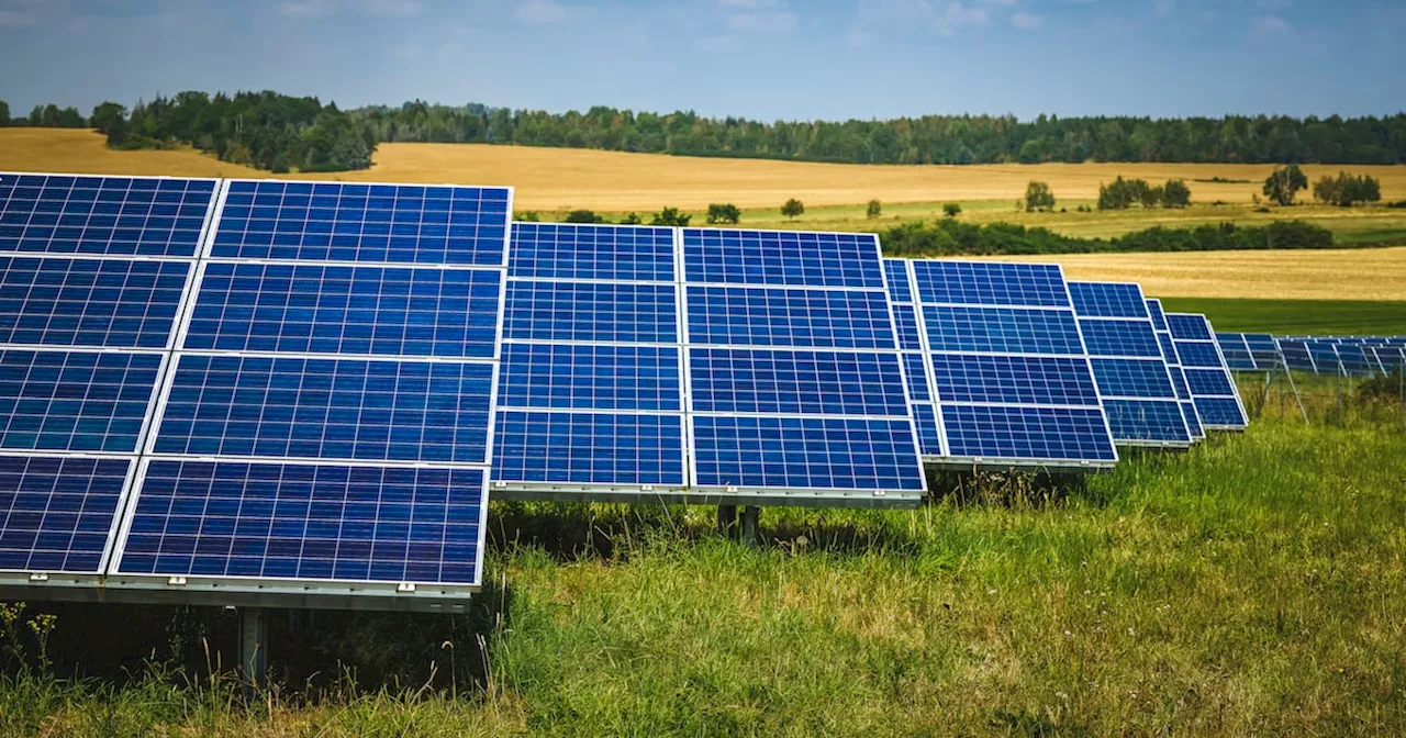 Solar Farm Rejected in Kildare Over Equine Industry Concerns