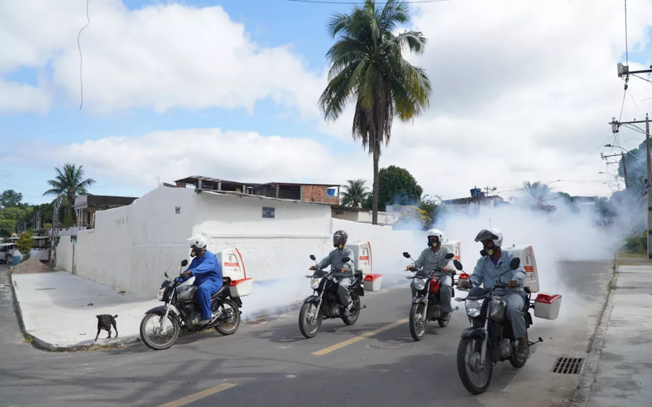 São Gonçalo realiza pulverização de inseticida para controle do Aedes aegypti